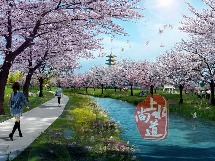 广东打造中国最美水上樱花 ——湖北仙桃梦里水乡水上樱花园