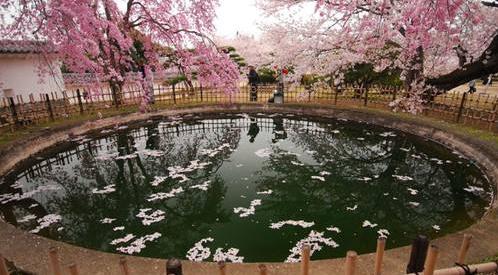 福建日式温泉设计