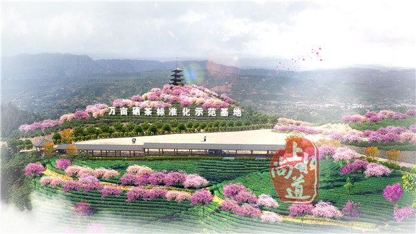 北京重庆猫山樱花园规划设计