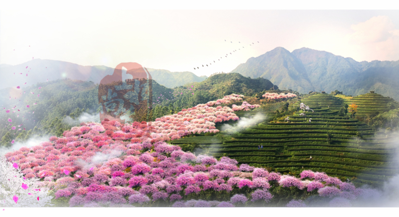 江苏中国赏樱站——福建漳州平和高峰谷