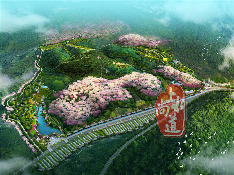 广州福建最美丽且焕发生机的田园综合体 ——福建樱花品种资源库